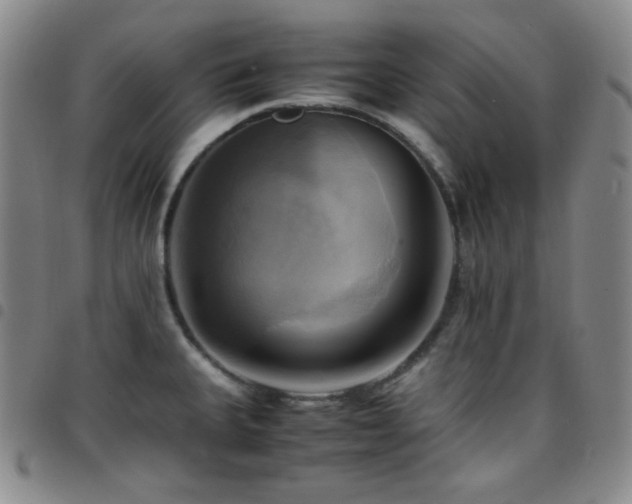 X0000097861335200803141230