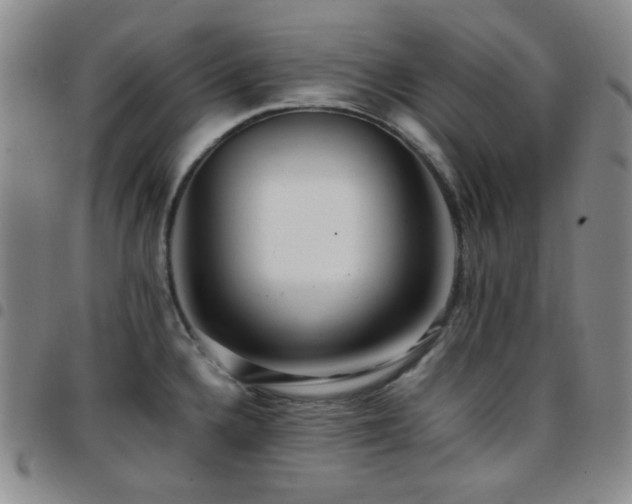 X0000097861336200803141230