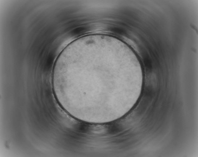 X0000097861338200803141230