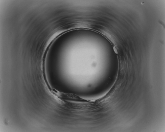 X0000097861339200803141230