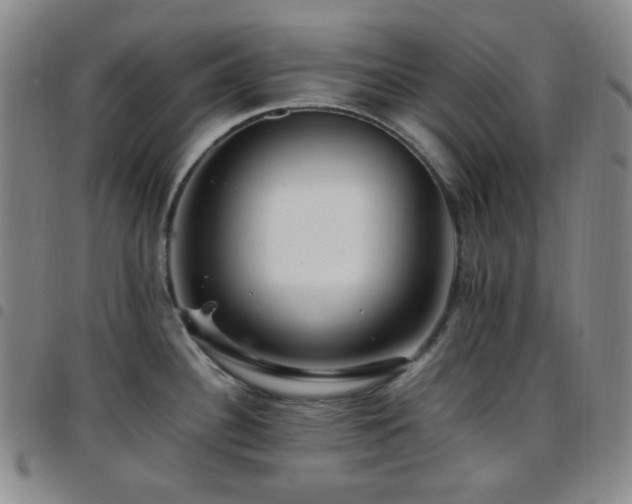 X0000097861340200803141230