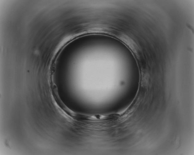 X0000097861342200803141230