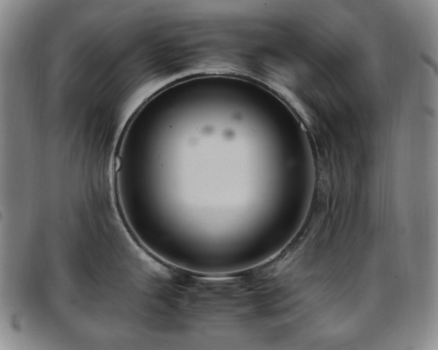 X0000097861343200803141230