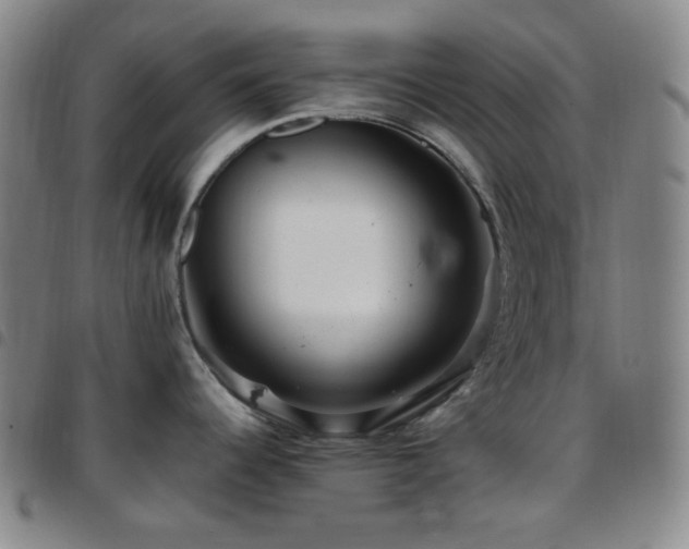 X0000097861344200803141230