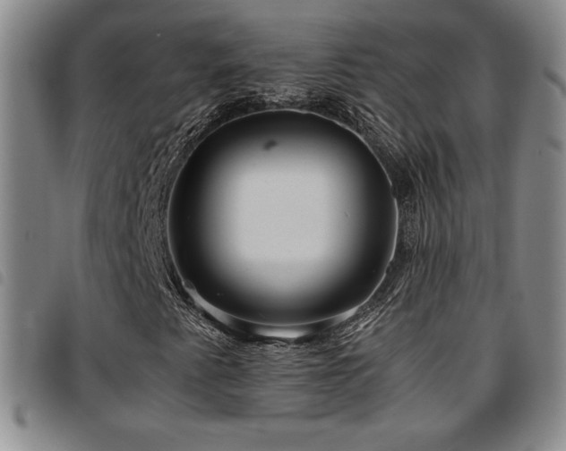 X0000097861345200803141230