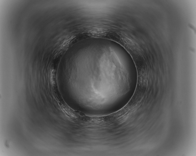 X0000097861346200803141230