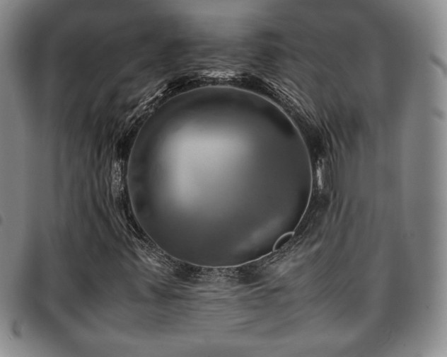 X0000097861347200803141229