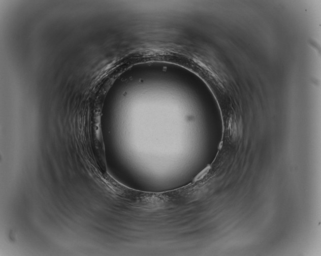 X0000097861348200803141229