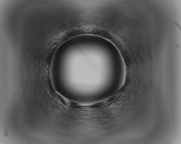 X0000097861349200803141229