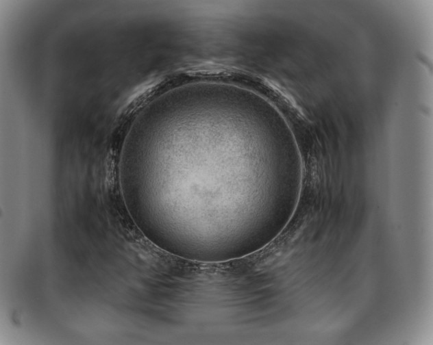 X0000097861350200803141229