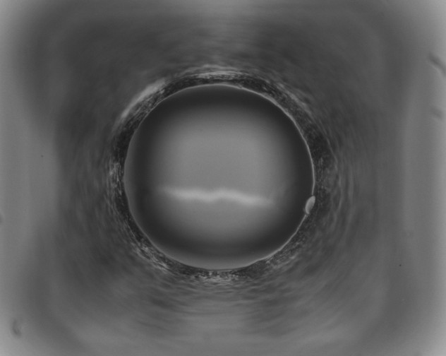 X0000097861351200803141229