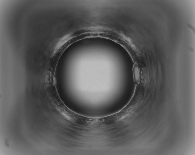 X0000097861352200803141229