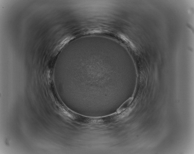X0000097861353200803141229