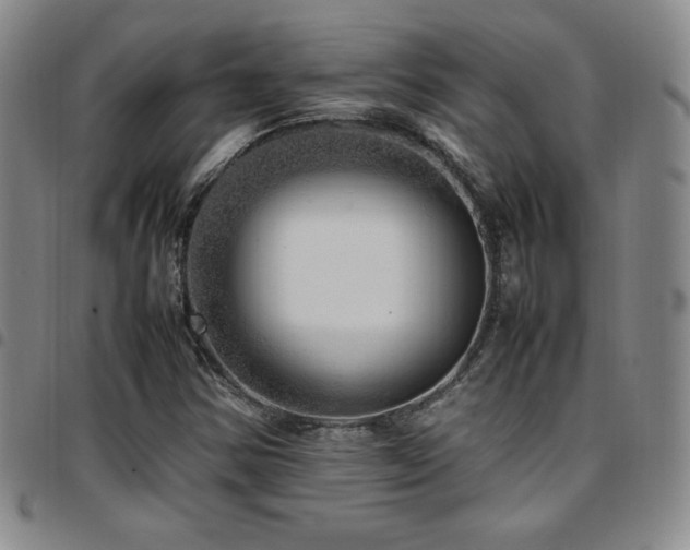 X0000097861354200803141229