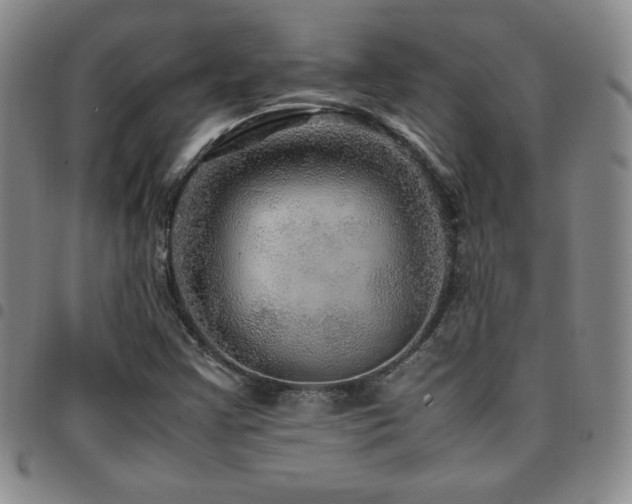 X0000097861355200803141229
