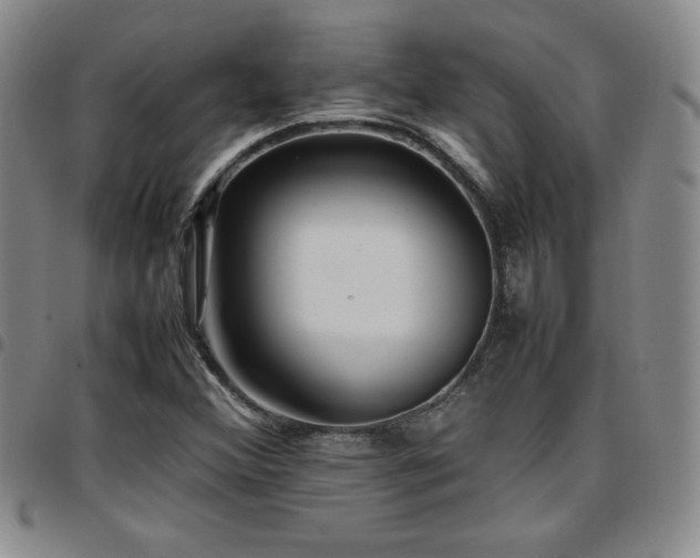 X0000097861356200803141229