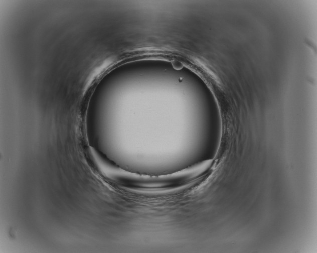 X0000097861357200803141229