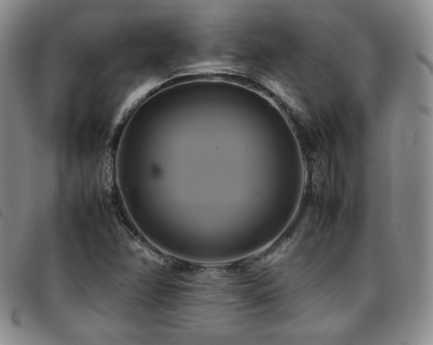X0000097861358200803141229