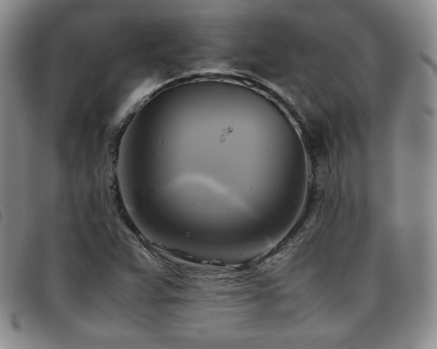 X0000097861359200803141229