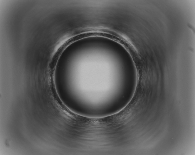 X0000097861360200803141229