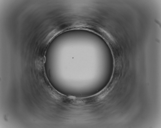 X0000097861361200803141229