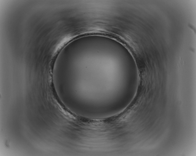 X0000097861363200803141229