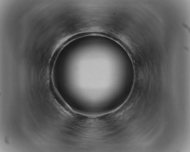 X0000097861364200803141229