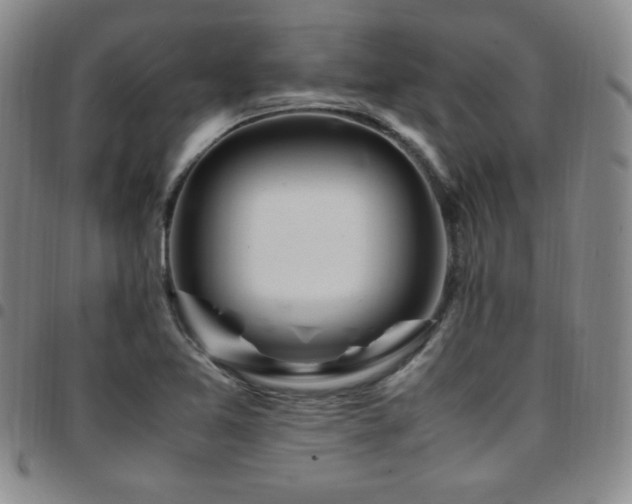 X0000097861365200803141229