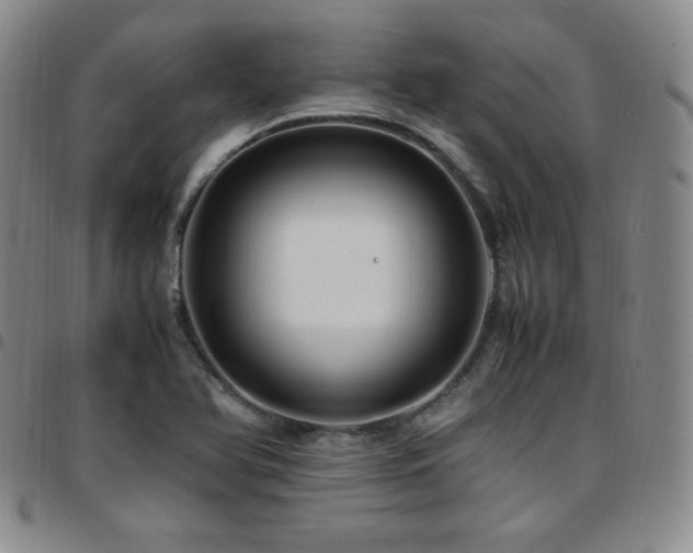 X0000097861366200803141229