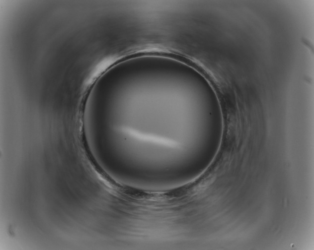 X0000097861367200803141229