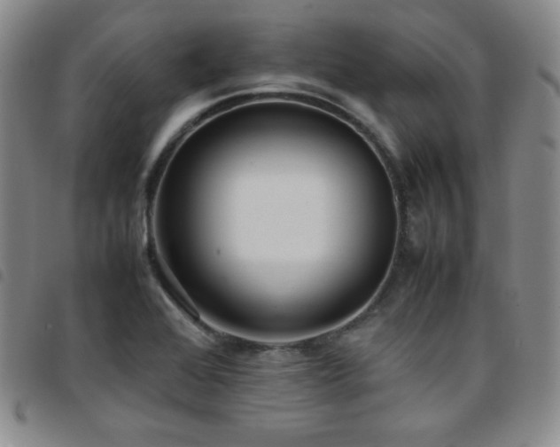 X0000097861368200803141229