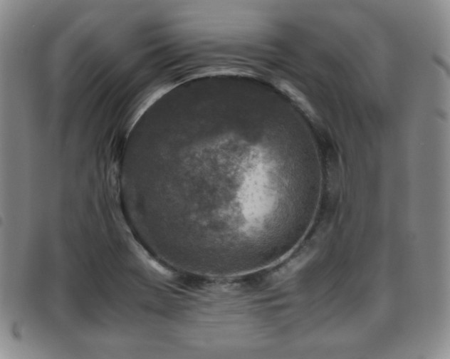 X0000097861369200803141229