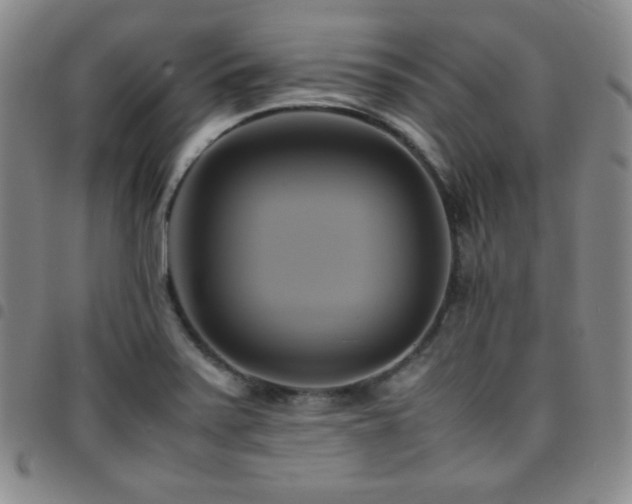 X0000097861371200803141229