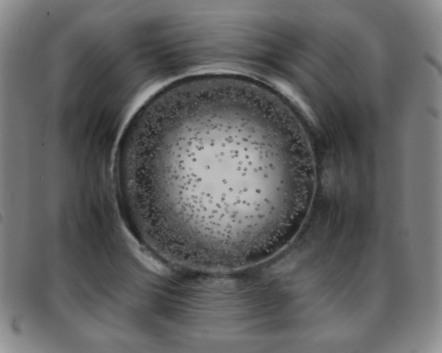 X0000097861372200803141229