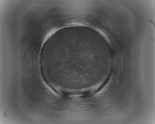 X0000097861373200803141229