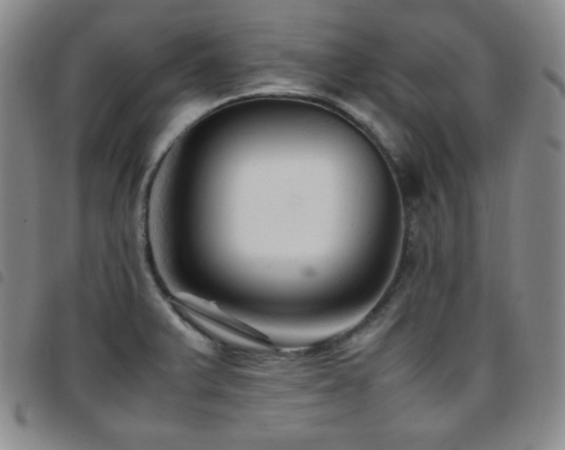 X0000097861375200803141229