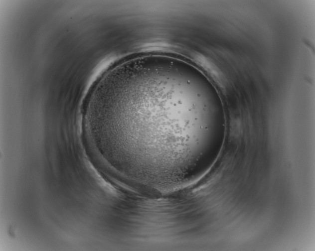 X0000097861376200803141229