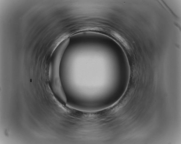 X0000097861377200803141229