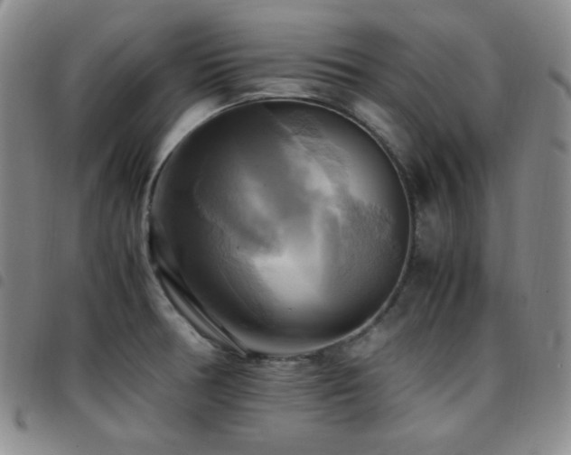 X0000097861378200803141229