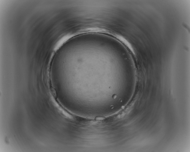 X0000097861381200803141229