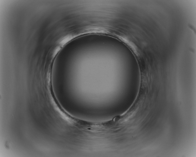 X0000097861383200803141229