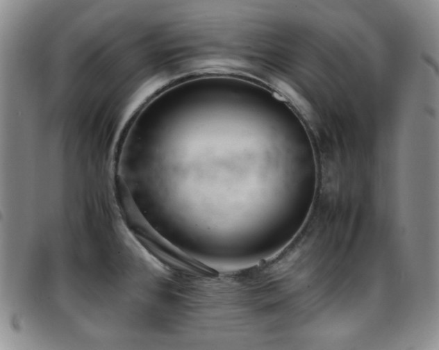 X0000097861384200803141229