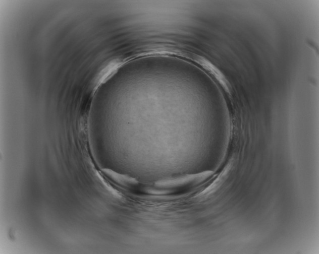 X0000097861385200803141229