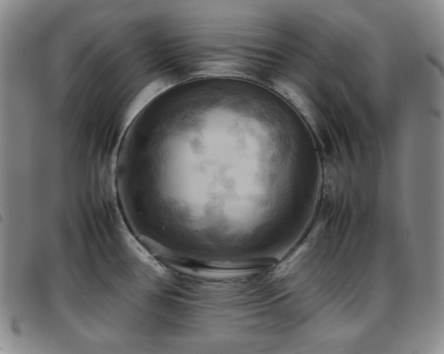 X0000097861386200803141229