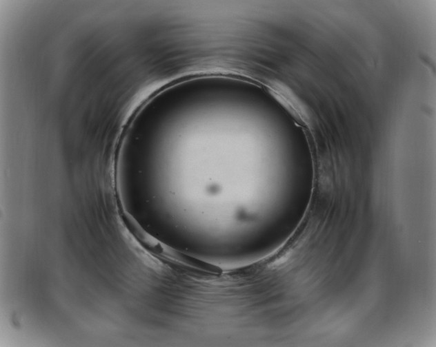 X0000097861388200803141229