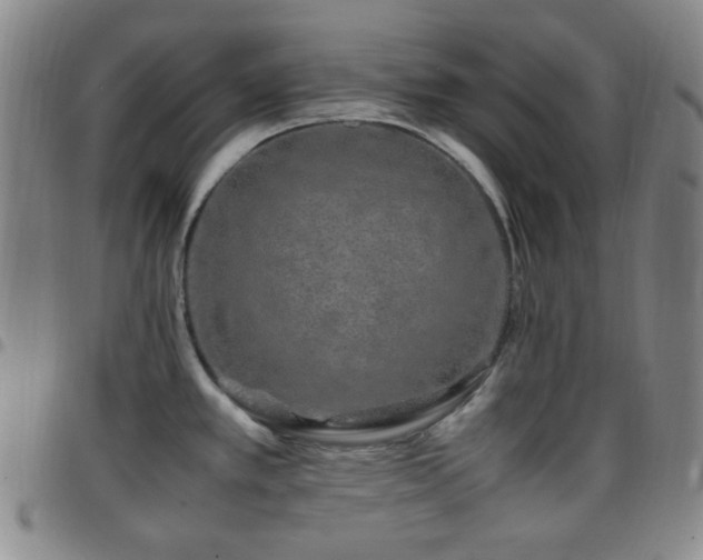 X0000097861389200803141229