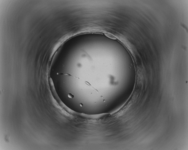 X0000097861390200803141229