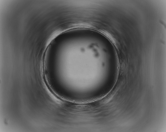 X0000097861391200803141229