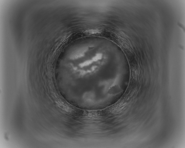 X0000097861393200803141228