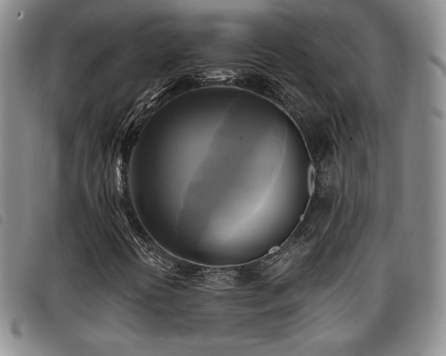 X0000097861394200803141228